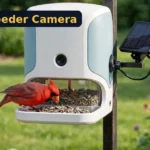 Birdfy smart bird feeder with camera and a cardinal at the seed tray in a garden