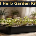 Indoor Herb Garden Kit Review: 12-Pod Hydroponic System for $62.52 — Worth It? (Honest) Indoor herb garden kit — 12-pod hydroponic system with LED grow light on kitchen counter